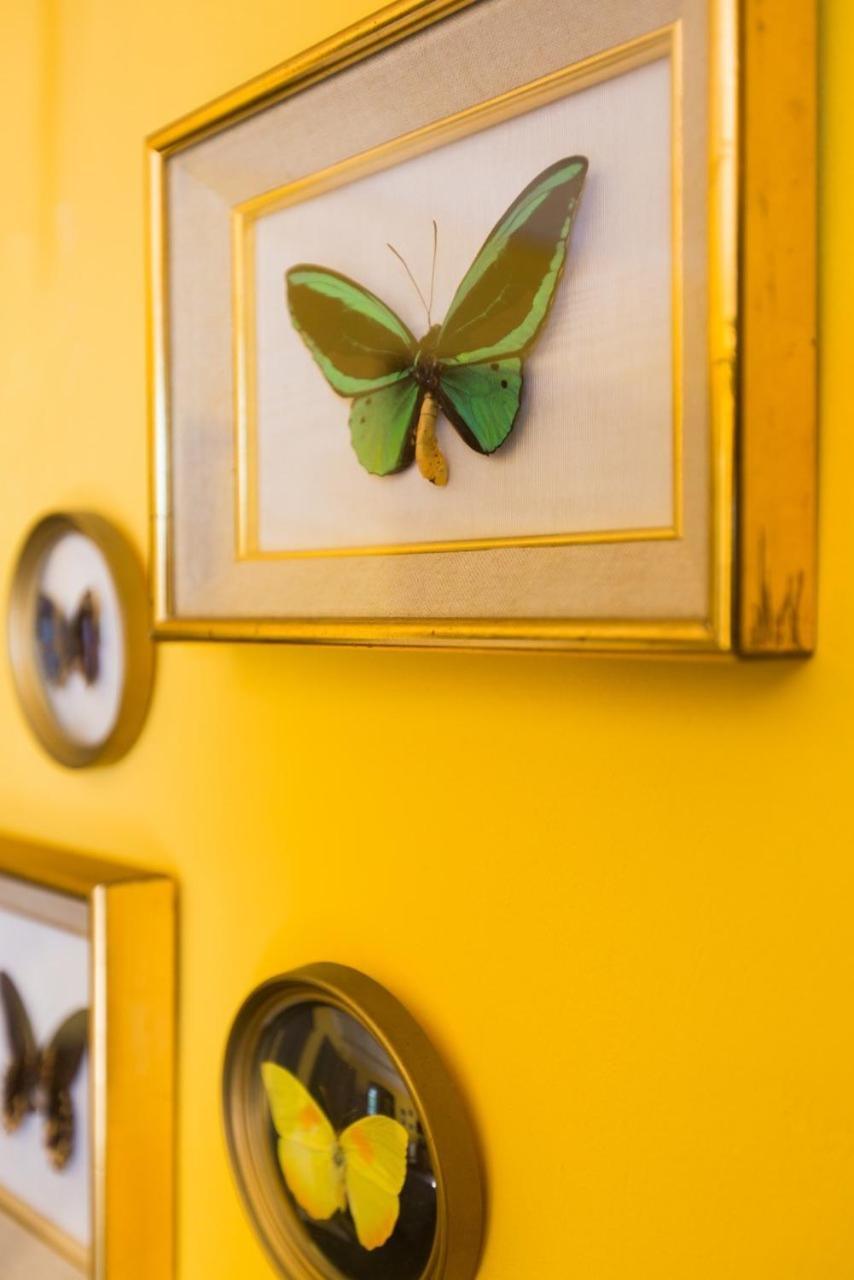 ホテル Le Jardin D'Emile カシ 部屋 写真